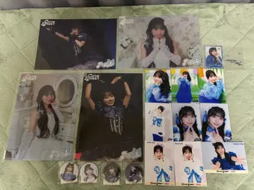 증전채노 묶음 판매