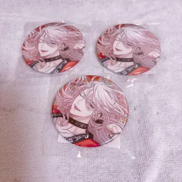 파라라이 시온 캔뱃지