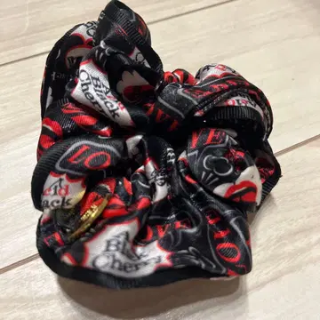 AcidBlackCherry 2015 스크런치