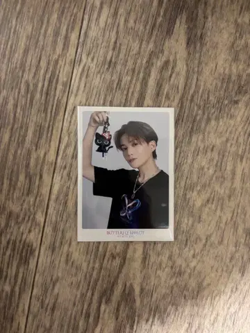 야기 유세이 시크릿 시크레