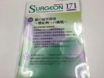 수의학 소동물 외과 전문지 SURGEON 171 절단됨 고양이 요관 폐색