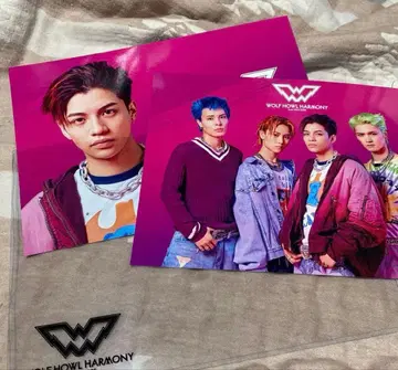 울프 카드 보드 GHEE