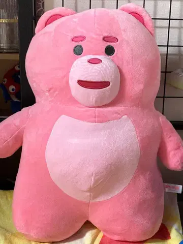 베리곰 BELLYGOM 봉제 인형