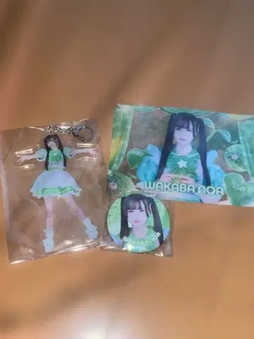 iLiFE! 와카바노아 세트 판매