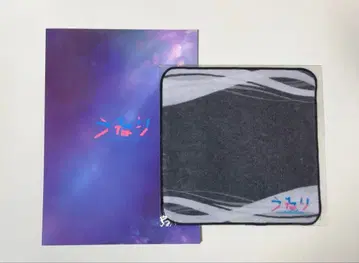 소년 닌자 히야마 코세이 쿠로다 미츠키 무대 우네리 팜플렛 핸드 타월