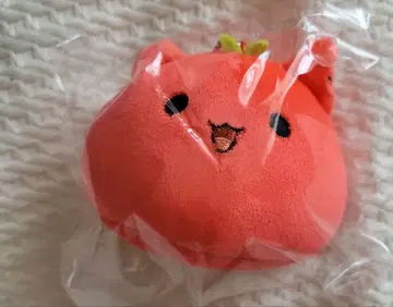 스토푸리 리이누 원맨 라이브 코토바 원더랜드 리눈 키링