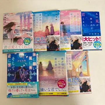 시오미 나츠에 소설