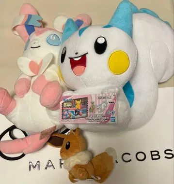 포켓몬 니피아 이브이 파치리스 봉제 인형 세트