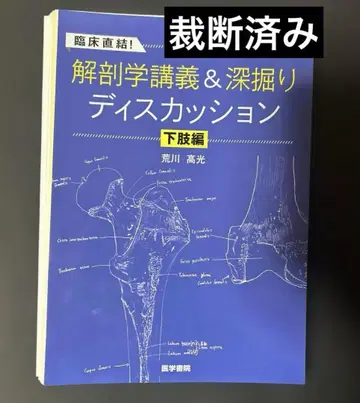 해부학 강의 & 심층 토론 하지편
