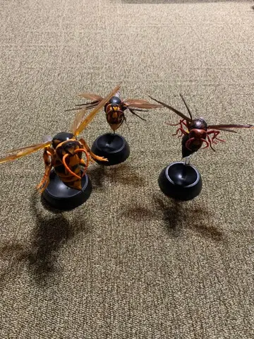 생물 대도감 벌 피규어 3체 세트