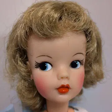 태미 인형과 꽃무늬 드레스