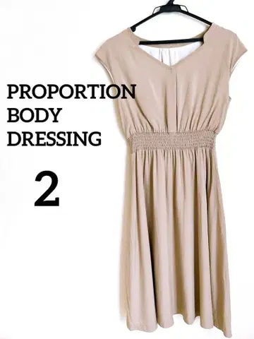 프로포션 바디 드레싱 V넥 반팔 원피스