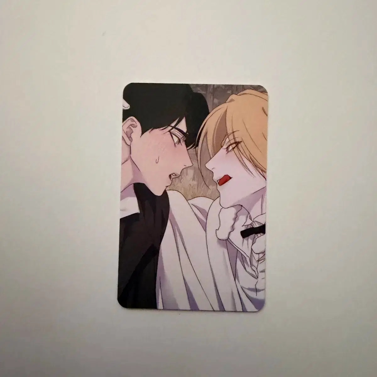 Bomtoon 10th Anniversary Home Party Pop-up Baekya's Flower Path