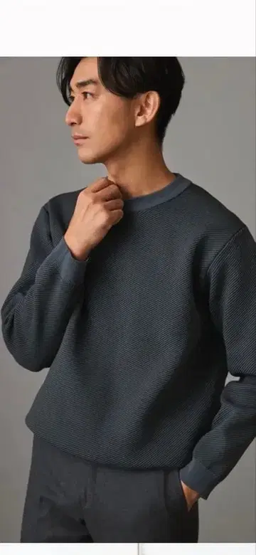 비즈 니트 테크 (BIZ KNIT TECH) 카르제 크루넥 L 미사용