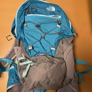 THE NORTH FACE 백팩 파랑/그레이