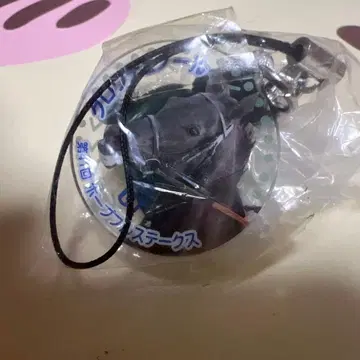 아이돌 호스 미니 컬렉션 41 호프풀 스테이크스 크루아뒤노르