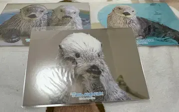 캡슐 복권 토바 수족관 랏코의 메이짱 복권 리턴즈!