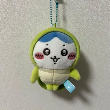 치이카와 하치와레 바다거북 마스코트 수족관