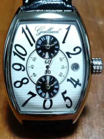 가루치 오토매틱 (자동 와인딩) 남성용 손목시계