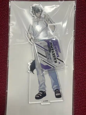 홀로스타즈 빅 아크릴 스탠드 GiGO 한정판 카게야마 시엔