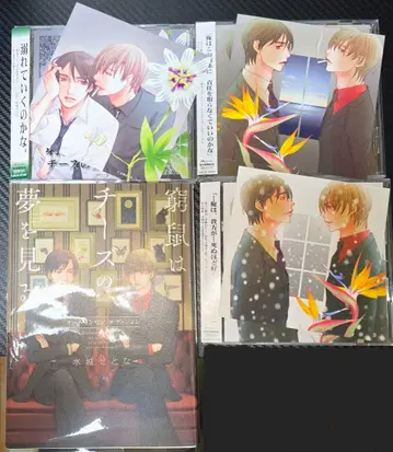 미즈시로 세토나 4세트