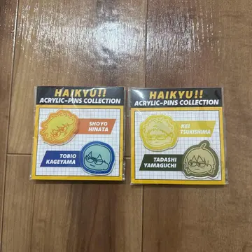 하이큐!! 플라자 지로리아크릴 핀즈 히나타 카게야마 츠키시마 야마구치