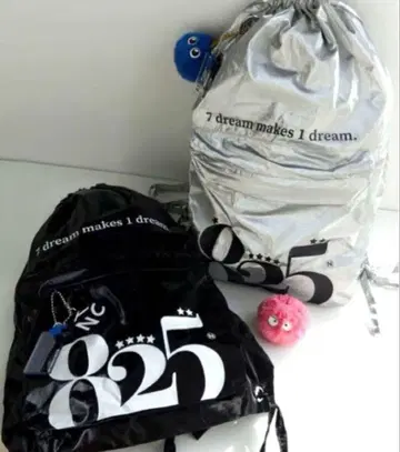 NCTDREAM 냅색 실버