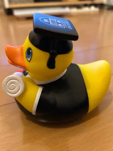 졸업생 오리와 마리아치 오리 세트