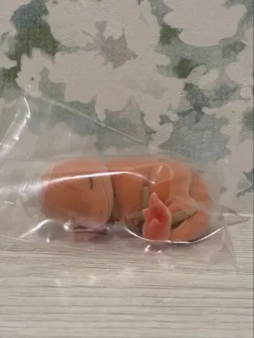 포켓몬 슬립 피규어 와카섬 리자드