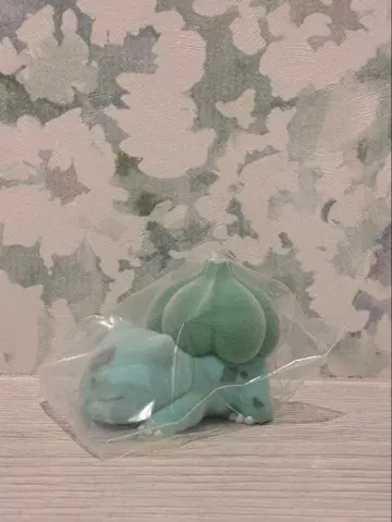 포켓몬 슬립 피규어 와카쿠사 본섬 후시가다네