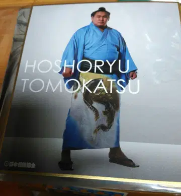 호쇼류 료쿠색지