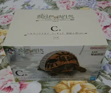 파충류 제일복권 D상 헤르만 육지거북