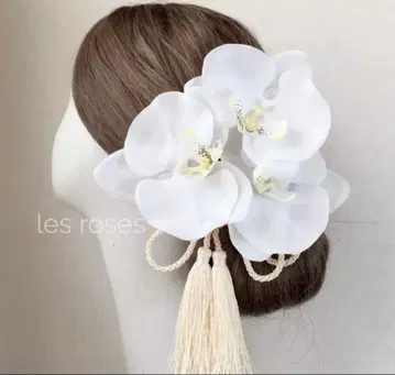 팔레놉시스 성인식 시로무쿠 기모노