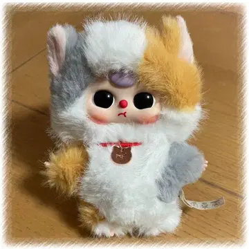 baby three 고양이 사희