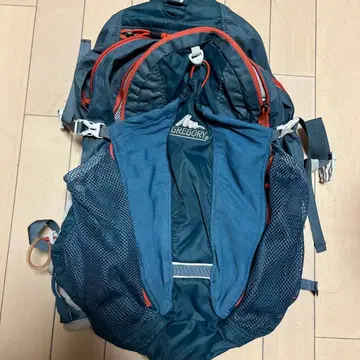 Gregory 그레고리 트레일 러닝 자크 22L
