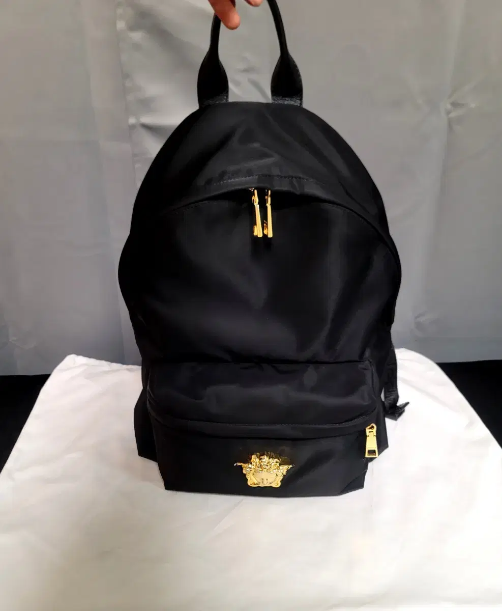 Versace Backpack, Crossbody Bag, Bag (Goyard, Dior, Chanel, Bottega, Louis Vuitton, Gucci, Celine, Saint Laurent)