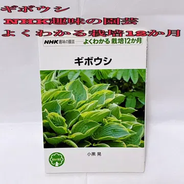 비비추 NHK 취미의 원예 잘 알 수 있는 재배 12개월