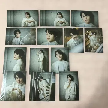 코이즈미 코사 생탄 브로마이드