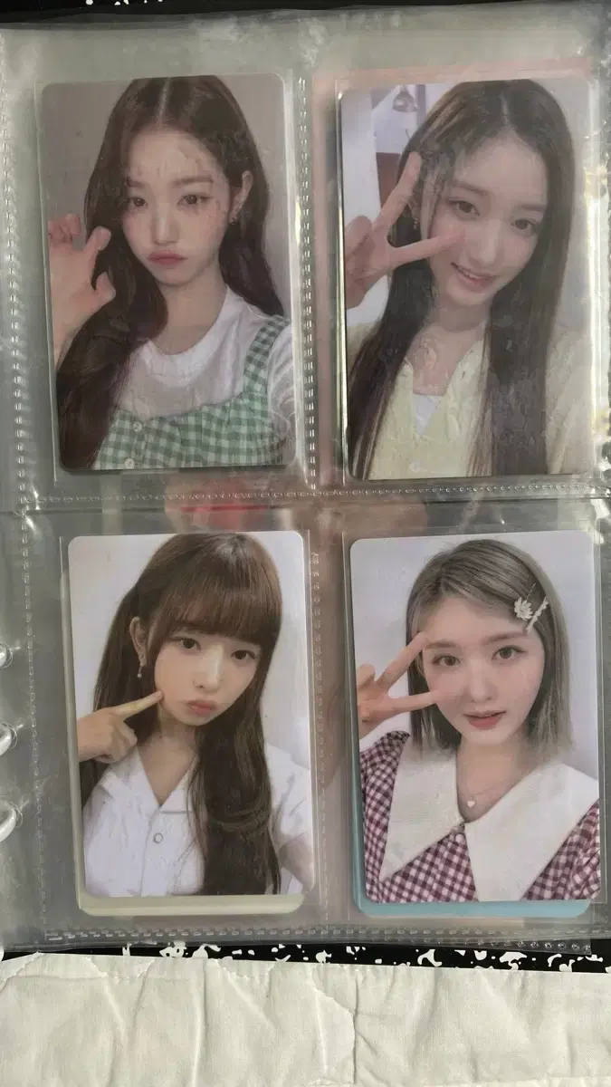 아이브 파파존스 포토카드