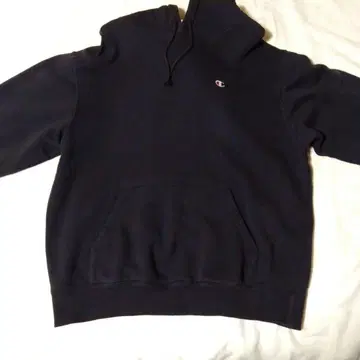 Champion 남성용 스웨트 후드티 XL(LL) 블랙