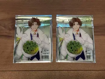 템페스트 마녀 트레이딩 클리어 카드 라이오스