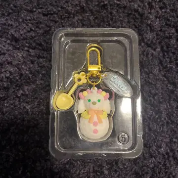 시크릿 오브 스노우데이 참 디즈니씨 쿠키 안