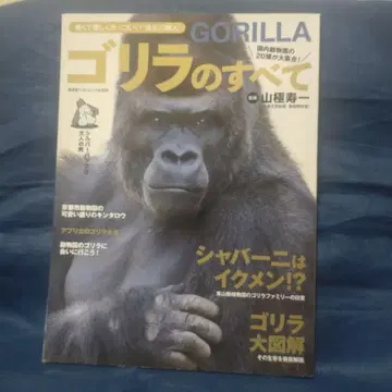 고릴라의 모든 것