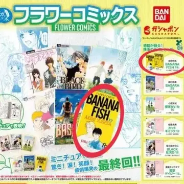 BANANA FISH 19 1점 콩 가샤본 [플라워 코믹스] 콩본