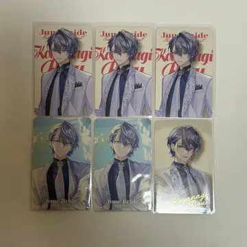 [ 익명 배송 ] 코야나기 로우 6장 세트