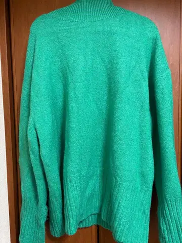 JEANASIS 지나시스 그린 터틀넥 스웨터