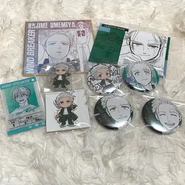 WIND BREAKER 윈블 우메미야 하지메 묶음 판매