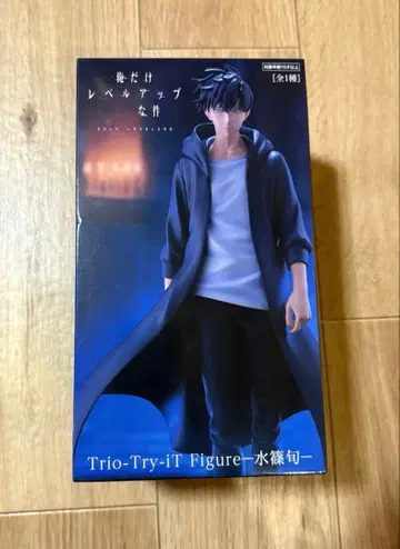 나 혼자만 레벨업 수성현