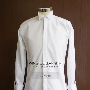 윙카라 셔츠 화이트