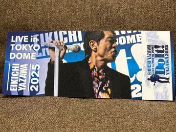 야자와 에이요시 도쿄돔 2025 메모리얼 티켓 11월 8일